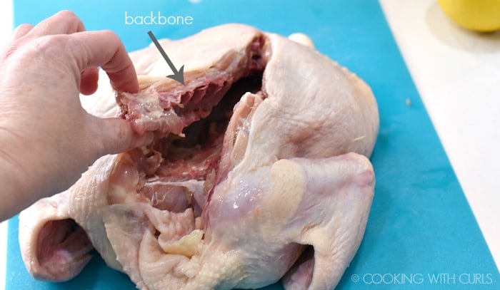 my hand holding the backbone of a raw, whole chicken that is being cut out while sitting on a blue plastic cutting mat 