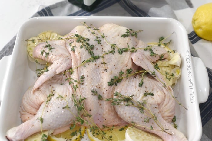 raw spatchcoked chicken in a white baking dish sitting on halved garlic bulbs and lemon slices, rubbed with oil and sprinkled with garlic pepper and thyme sprigs 
