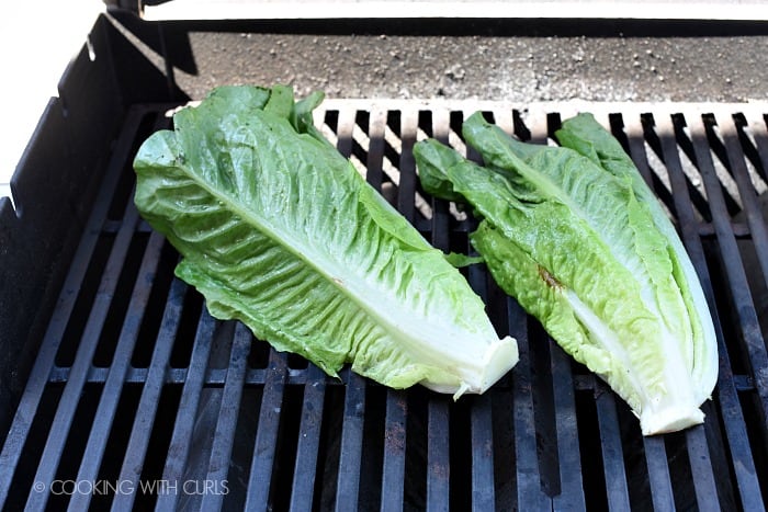 Romaine lettuce placed cut side down on a hot grill 