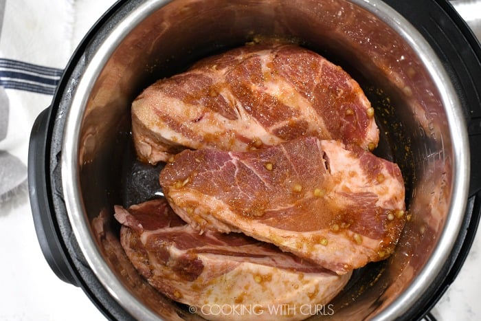 Pork pieces and cooking liquid in a pressure cooker 