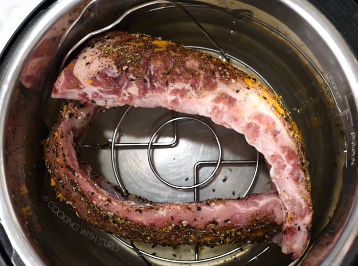 Seasoned ribs in a pressure cooker 
