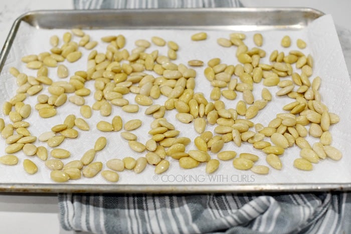 Blanched, whole almonds on a paper towel lined baking sheet.