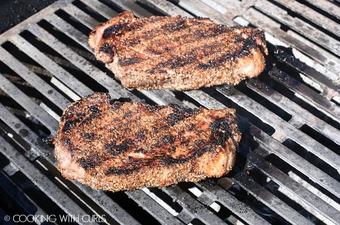 Two Perfect Grilled Steaks on a gas grill. 