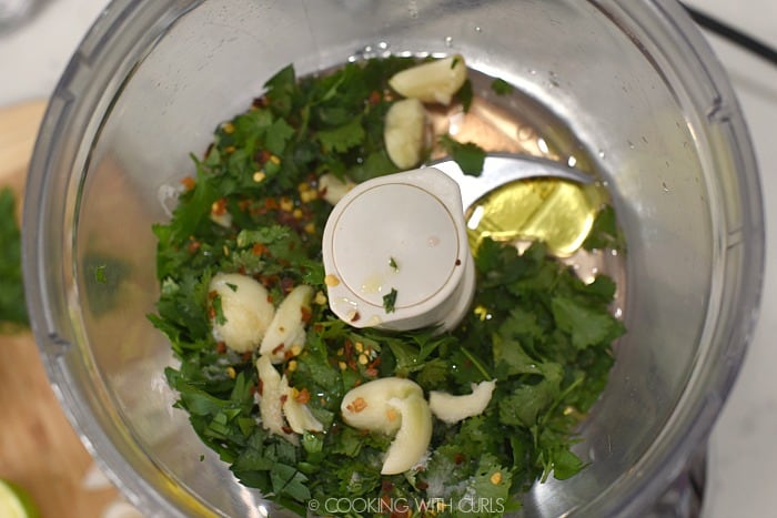 fresh parsley, cilantro, garlic cloves, red pepper flakes and oil in the bowl of a food processor. 