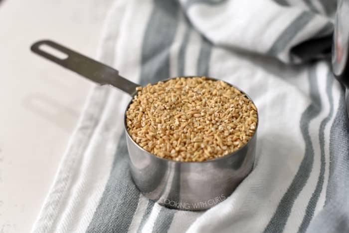 steel cut oats in a stainless steel measuring cup resting on a gray and white striped towel. 