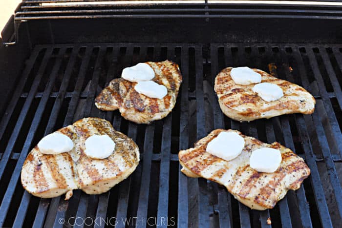 four grilled chicken breasts each topped with two circles of goat cheese on a gas grill. 