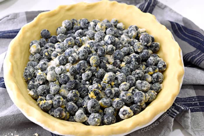 fresh blueberry filling inside the pie crust. 