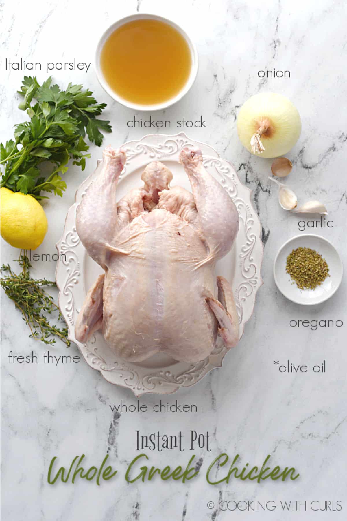 Looking down on a whole chicken on a white platter, Italian parsley, fresh thyme, whole lemon, onion, three garlic cloves, dried oregano and a bowl of chicken stock. 