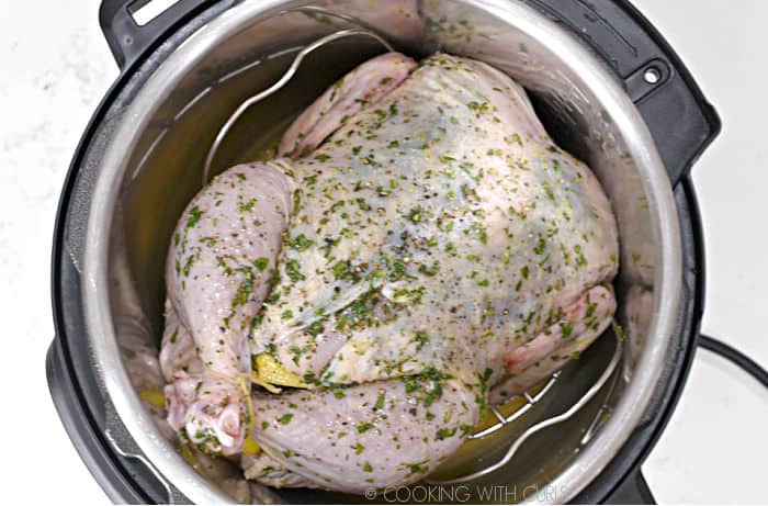 a whole, seasoned chicken sitting on a metal trivet over chicken stock  inside a pressure cooker.