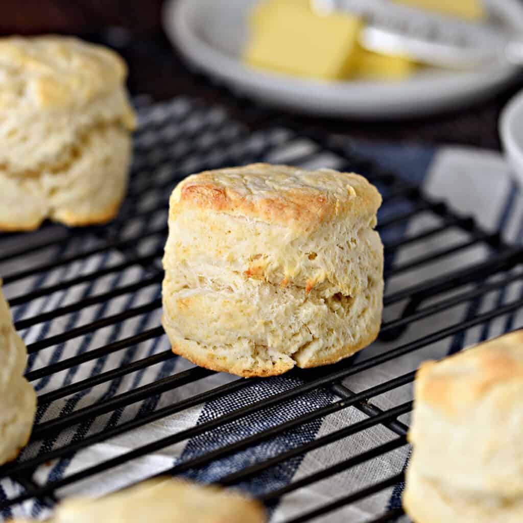 close up of a fluffy homemade buttermilk biscuit on a black wire cooling rack surrounded by four additions biscuits and a plate of butter slices.