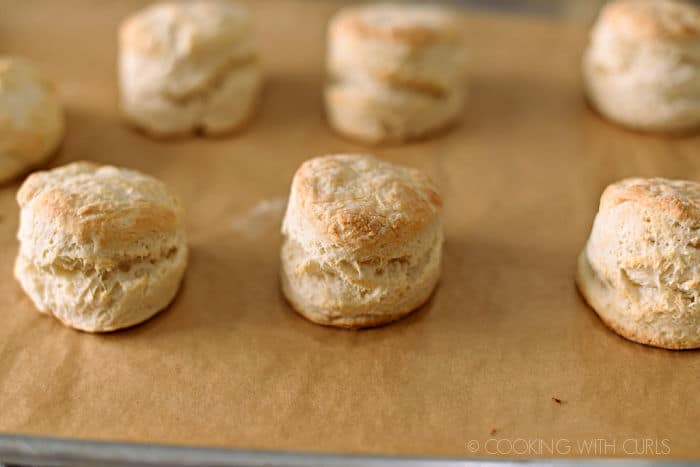 seven baked biscuits on a parchment lined baking sheet. 