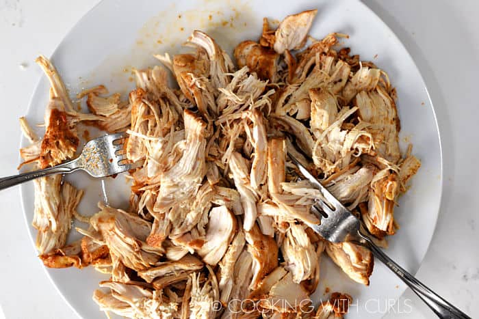 Shredded chicken with two forks on a large white plate. 