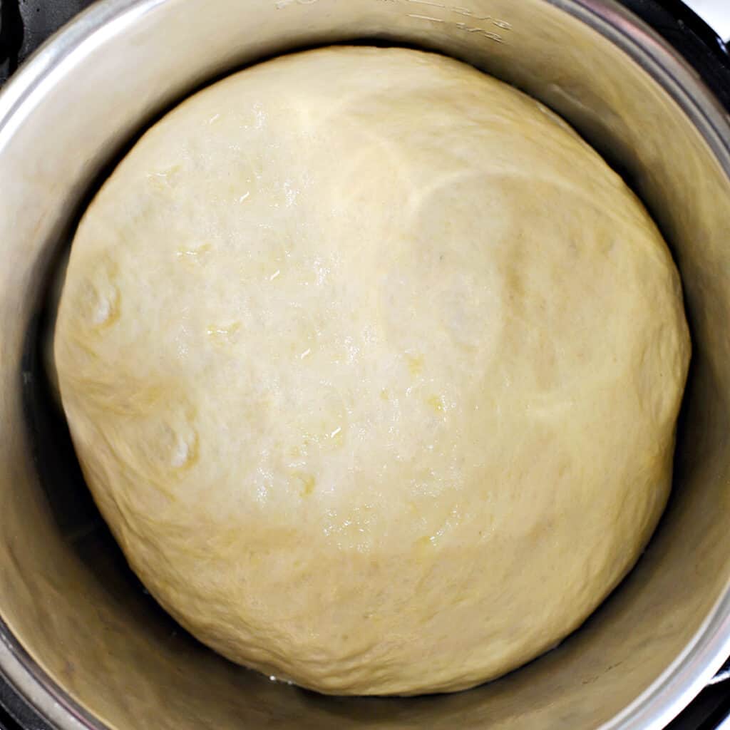 Proofed dough in the Instant Pot. 