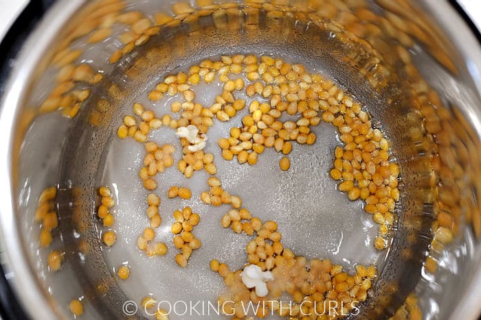 Popcorn kernels tossed with oil, sugar and salt in a pressure cooker. 