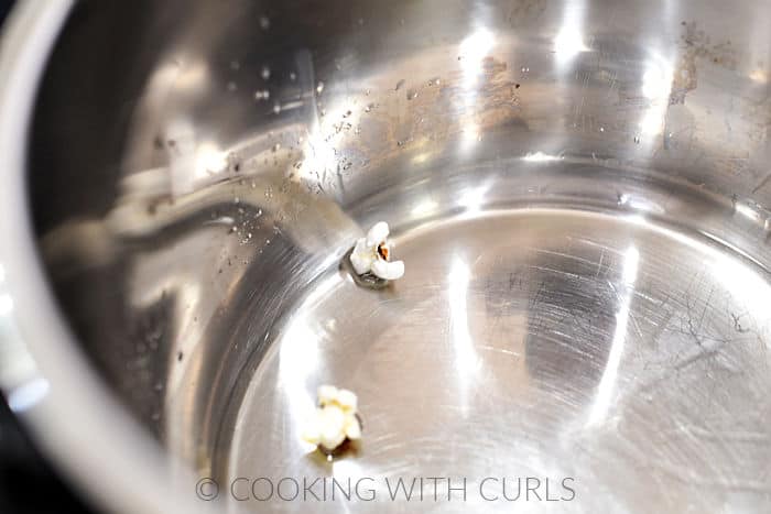 Two popped kernels in a pressure cooker.