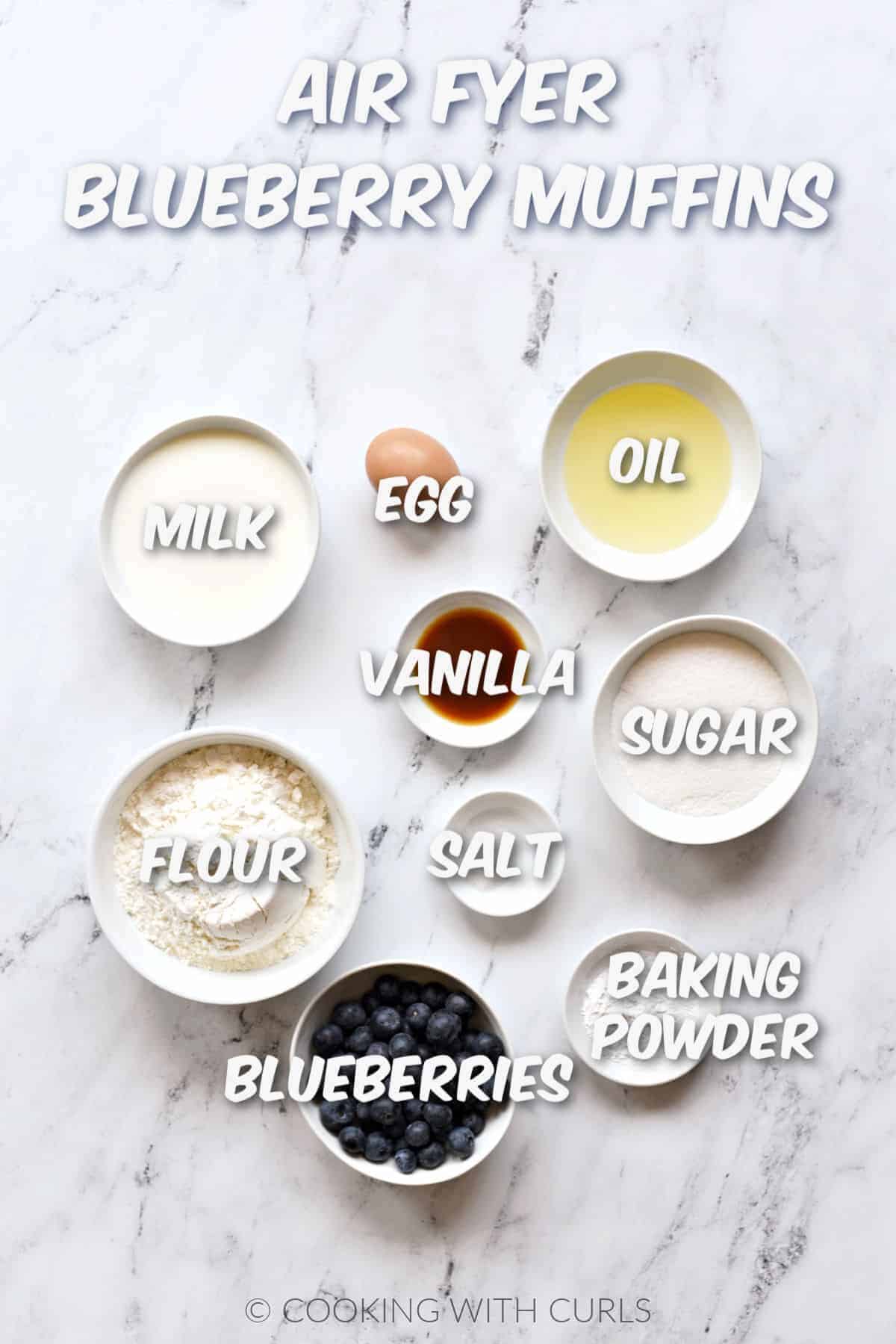 Milk, egg, oil, vanilla, sugar, flour, baking powder, salt, and blueberries in white bowls. 