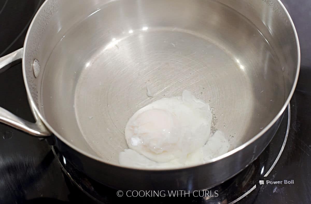 One egg in a saucepan with simmering water.