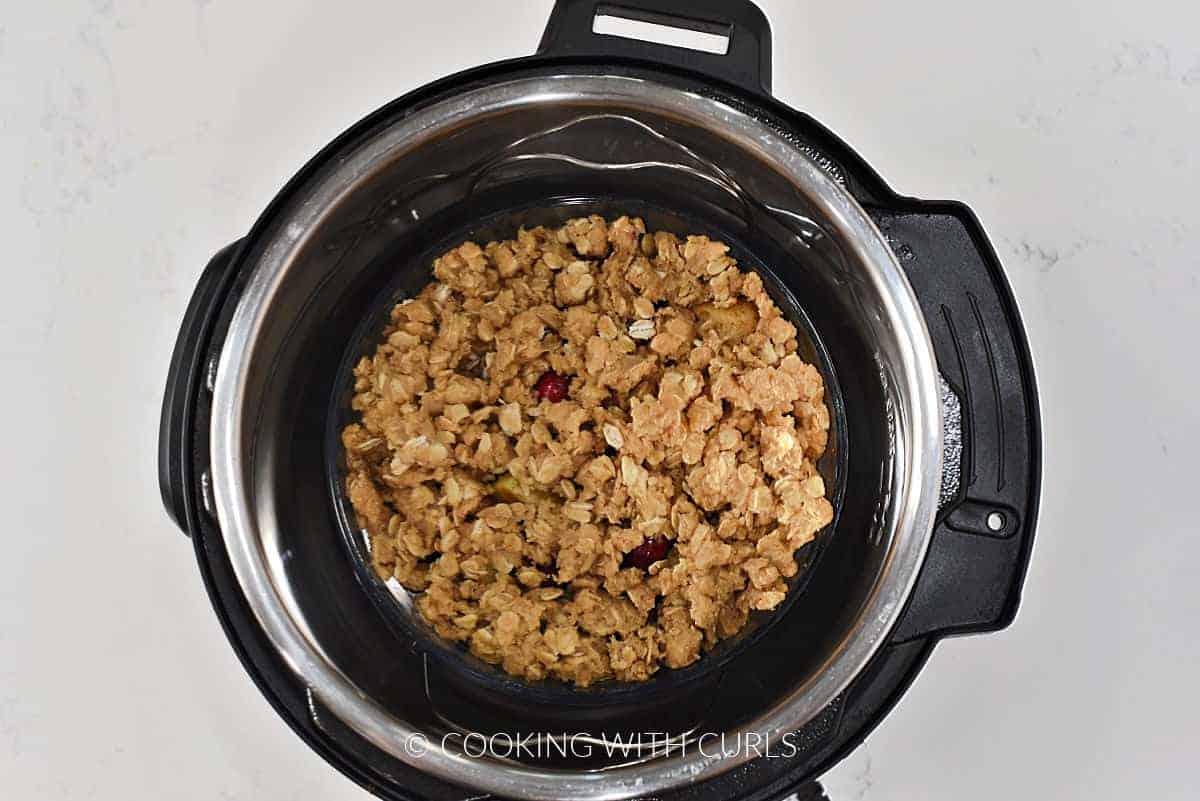 Apple cranberry crisp in a small bowl inside an Instant Pot. 