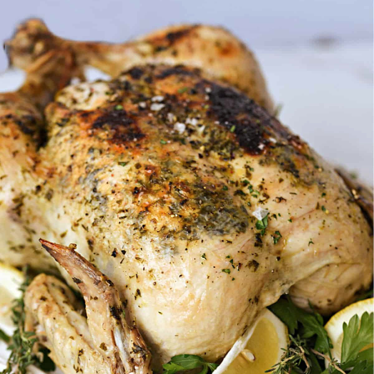 Whole chicken roasted with greek seasonings.
