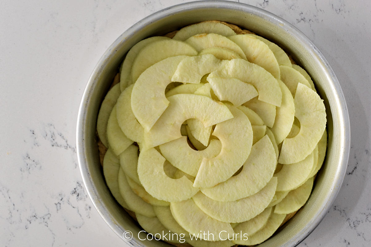 Sliced apples on top of cake batter in a round cake pan. 