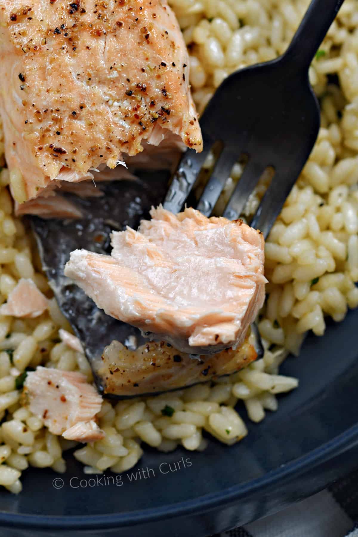 Juicy, flaky salmon filet on a fork with rice underneath. 