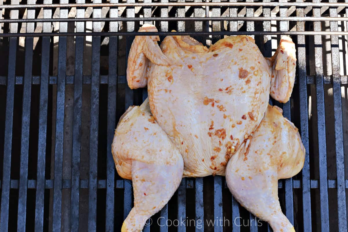 Raw marinated whole chicken on a barbecue grill. 