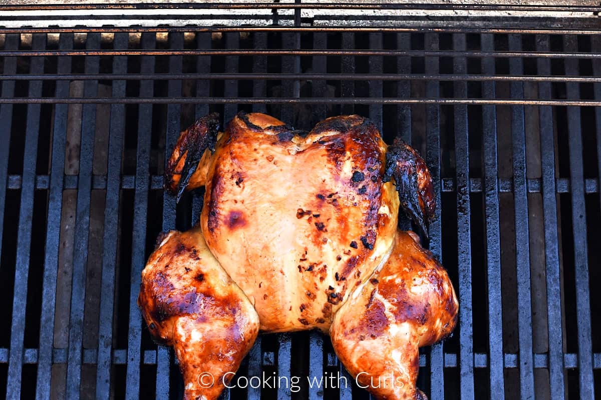 Whole chicken cooked breast side up on a gas grill. 