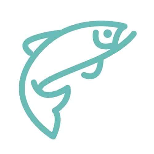 A teal fish outline.