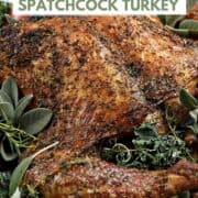 A close-up image of a spatchcock turkey on a plate covered with kale, sliced apples, sage, rosemary and thyme sprigs and title graphic across the top.