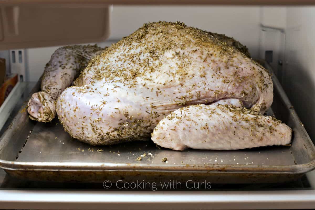 Seasoned turkey on a baking sheet in the refrigerator. 