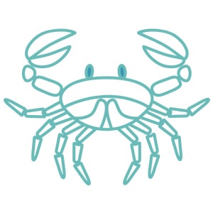 Teal outline of a whole crab.