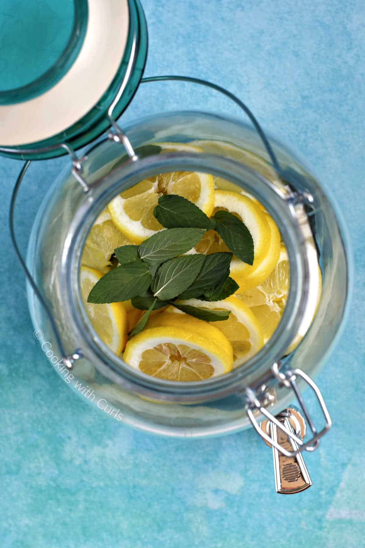 Looking down into a large container with slices of cucumber, lemon and mint leaves.