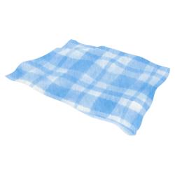 Blue checkered picnic blanket graphic.