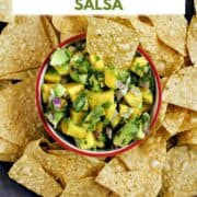 Diced mango, avocado, cilantro, and jalapeno in a bowl surrounded by tortilla chips with title graphic across the top.