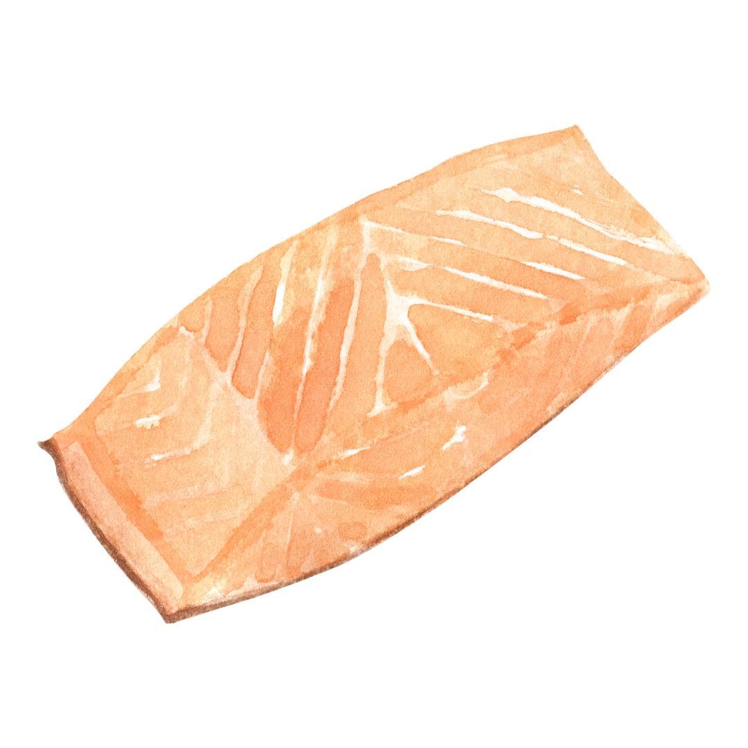 Salmon filet graphic.