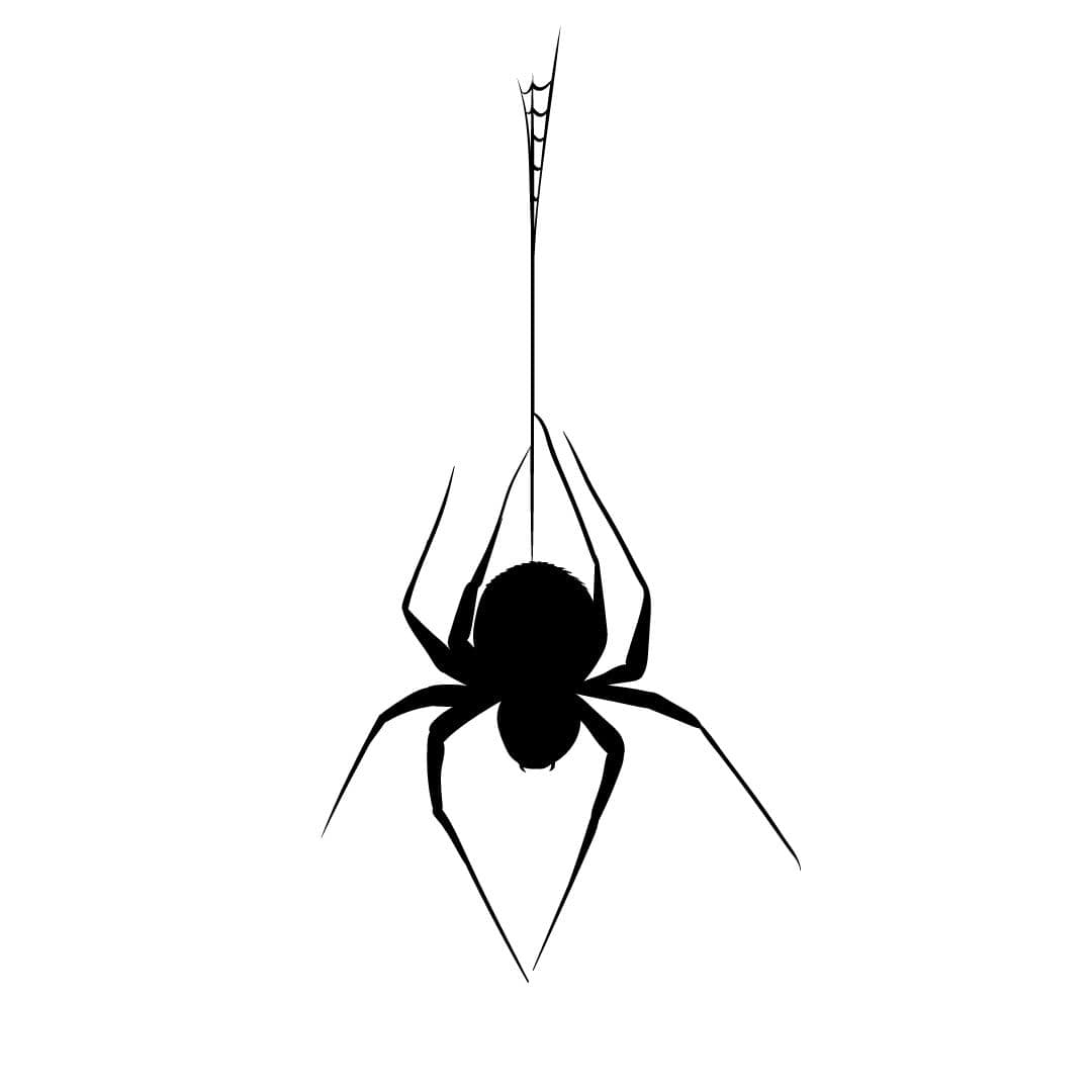 Hanging spider graphic.