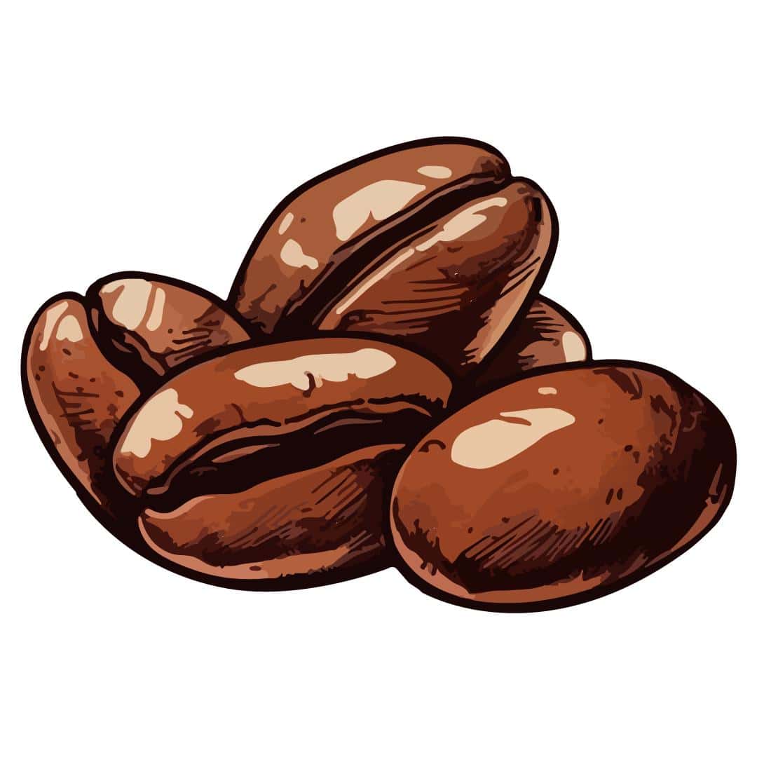 Espresso beans graphic.