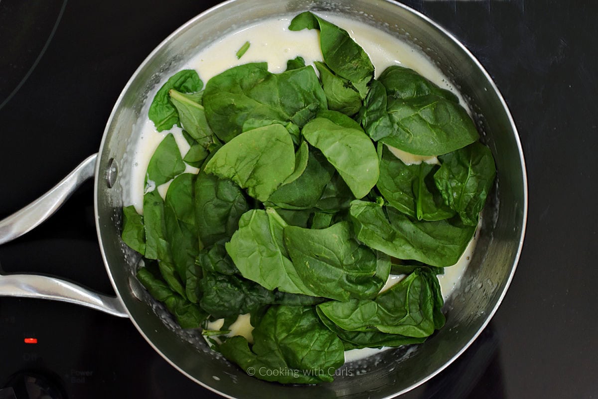 Fresh spinach leaves added to Alfredo sauce in sauce pan.